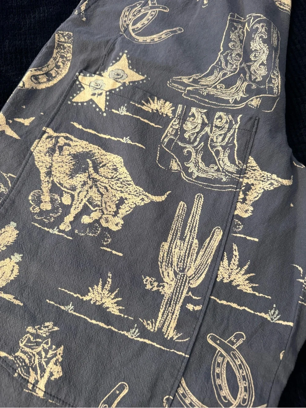 Free People Navy Pants with Cream Western Motif
